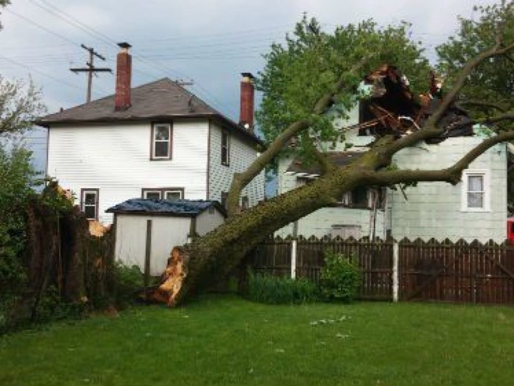 Аварийное дерево проломило крышу дома
