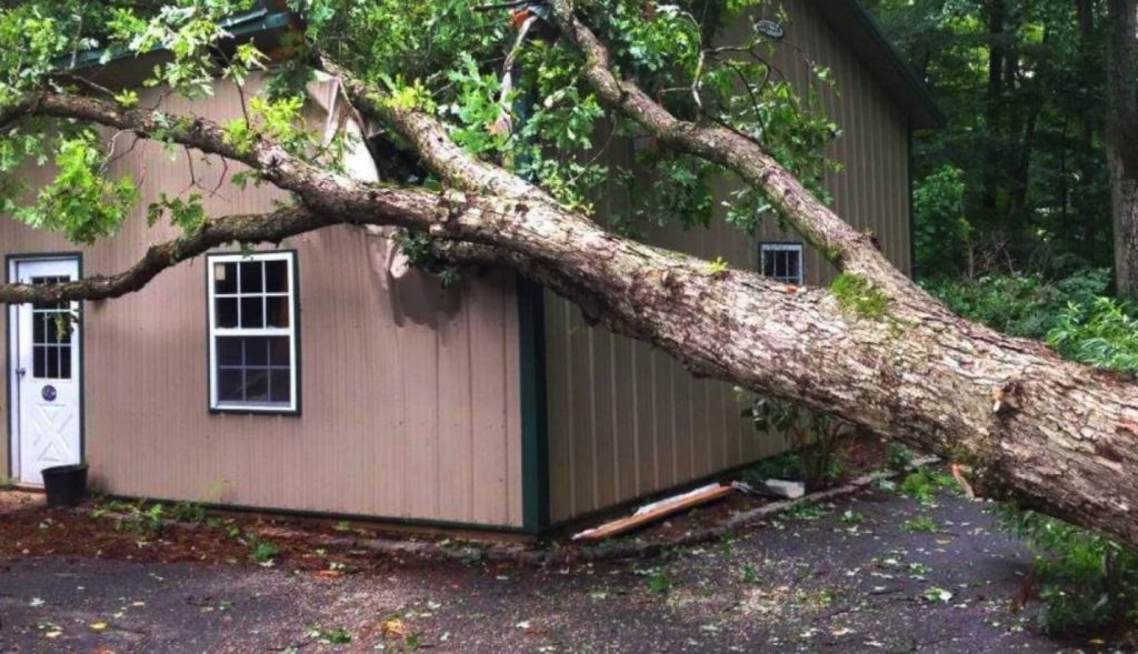 Аварийное дерево упало на загородный дом
